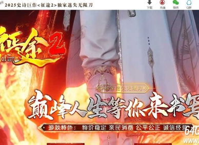 征途2激情迷失无限刀单职业传奇客户端-武林秘籍-斗笠强化-GOM引擎