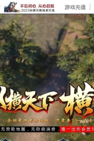 纵横沉默专属神器单职业传奇服务端-独孤求败-暴风要塞-新GOM引擎