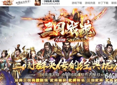三国战魂无双宠物专属神器单职业传奇客户端-属性转移-第十大陆-GOM引擎