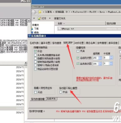 使用神盾插件截图黑屏怎么解决？