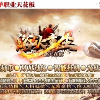 浴火重生单职业天花板客户端-晓晨仙宫-GOM引擎