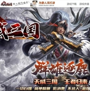 天威三国专属神器无限刀单职业传奇脚本库-第八大陆-等级专属-GOM引擎