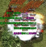 GOM引擎热血传奇版本怎么开启全屏吸怪功能？