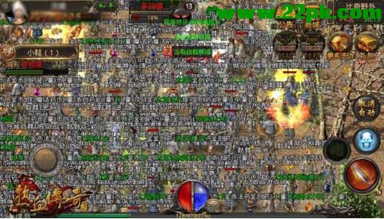 d5.jpg