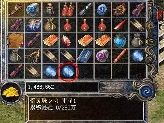 d1.jpg